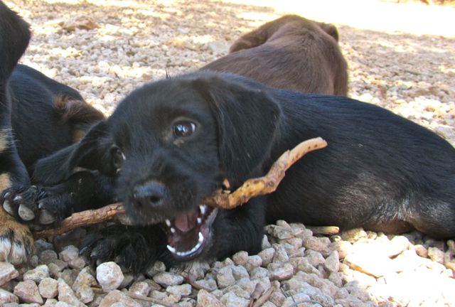 IMG_0910 - Arbeitskopie 5.jpg