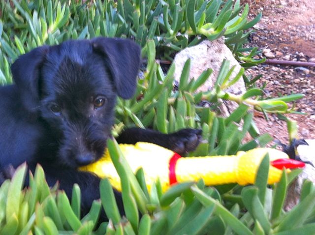 IMG_2100 - Arbeitskopie 2.jpg