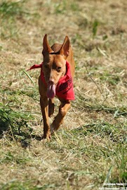 900_IMG_4672.jpg