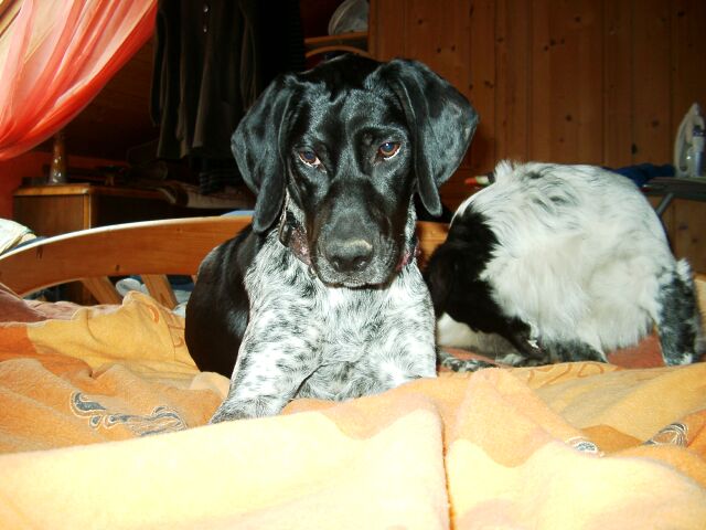 IMGP2933 1.jpg