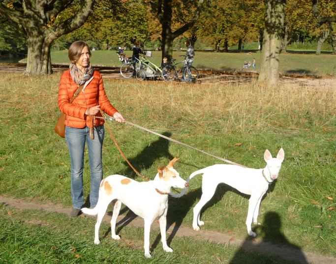 Spaziergang Decksteiner Weiher 1.JPG