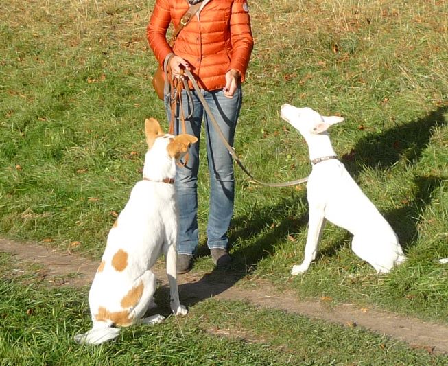 Spaziergang Decksteiner Weiher 2.JPG