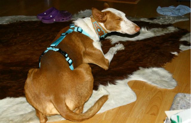 BeFunky_Hans6.jpg