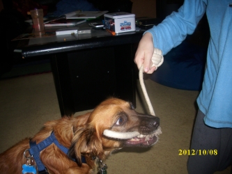 Sammy 001.JPG