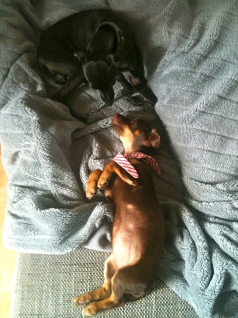 Bild 20.jpg