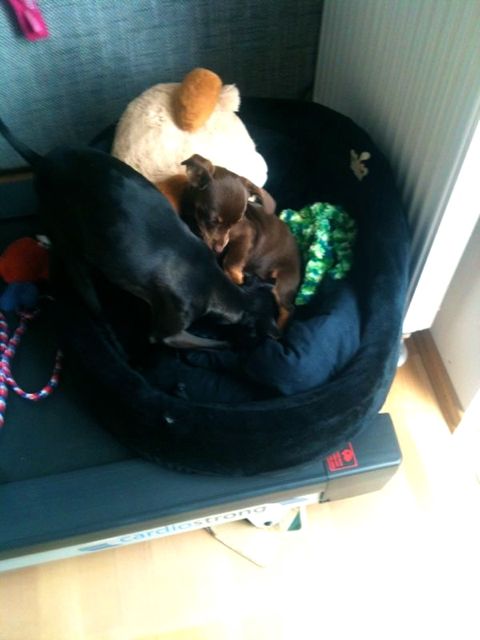 Bild 24.jpg