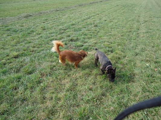 Lucky22.10.2012 014.JPG