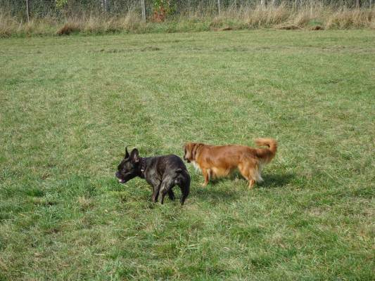 Lucky22.10.2012 020.JPG