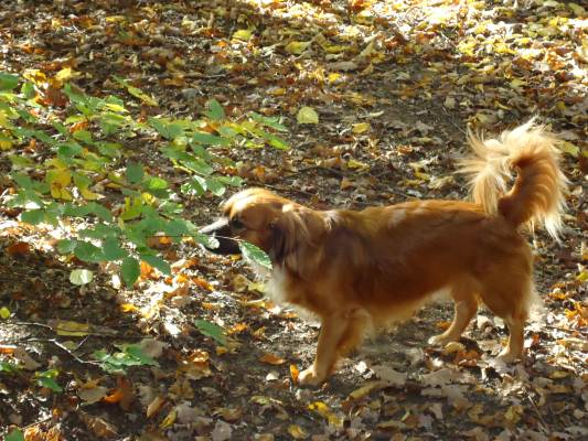 Lucky22.10.2012 038.JPG