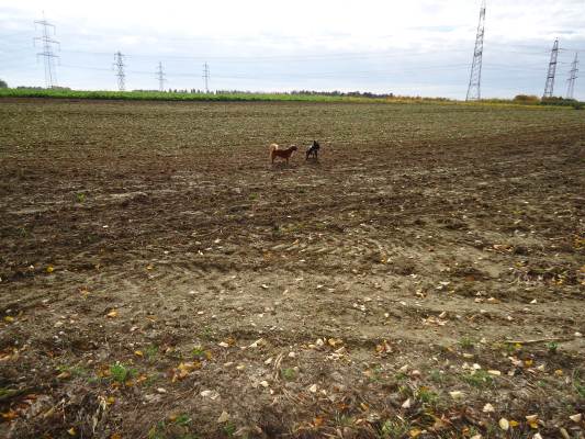 Lucky22.10.2012 030.JPG