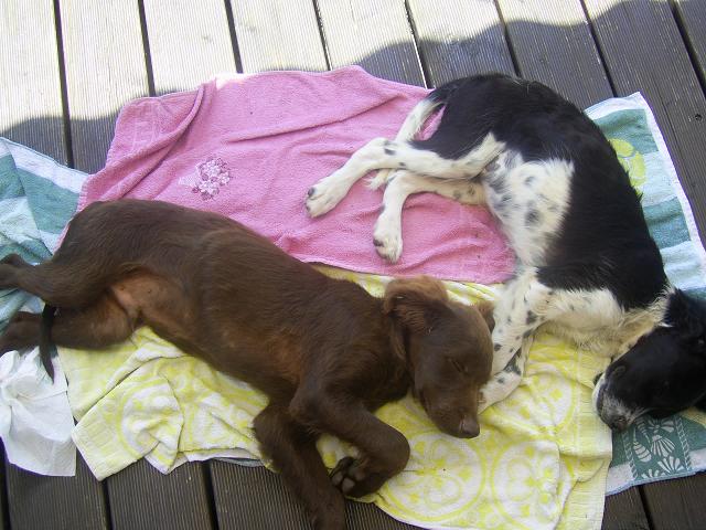 PIC_0061.JPG