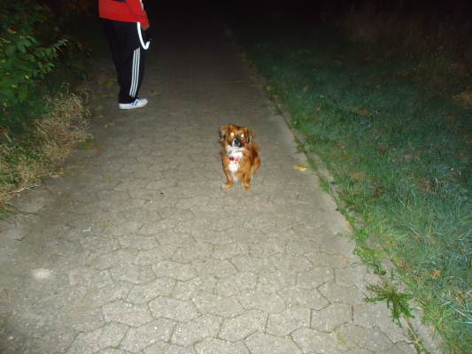 Eigene Bilder 002.JPG