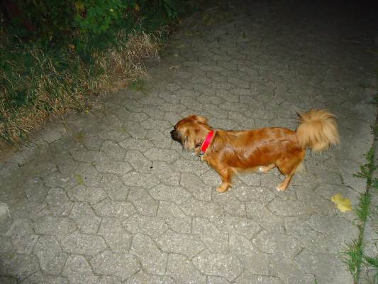 Eigene Bilder 003.JPG