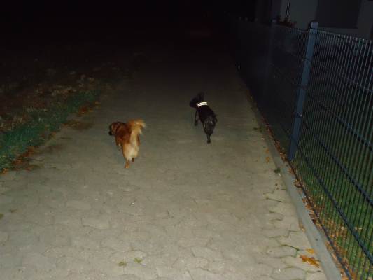 Eigene Bilder 012.JPG