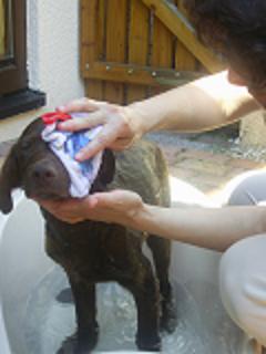 PIC_0065.JPG