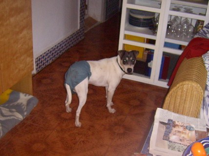 LPIC2296.jpg