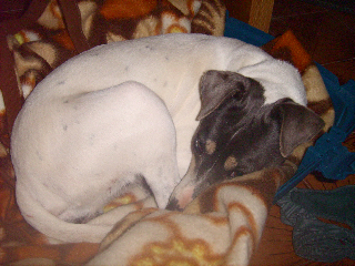 LPIC2303.jpg