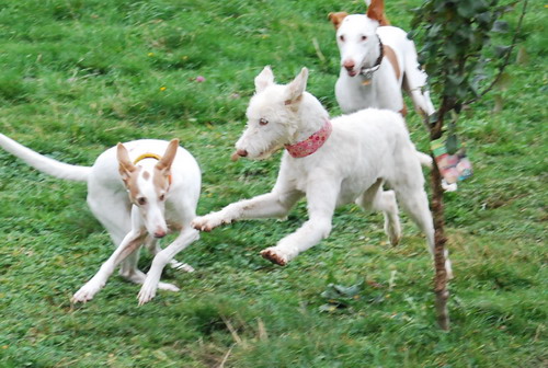 DSC_0301.jpg
