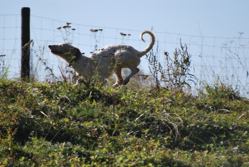DSC_0465.jpg