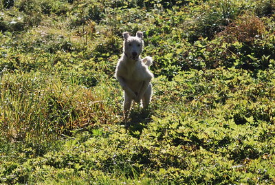 DSC_0467.jpg