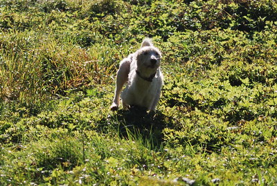 DSC_0468.jpg