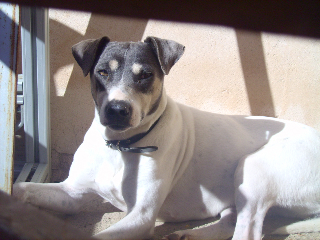 LPIC2317.jpg