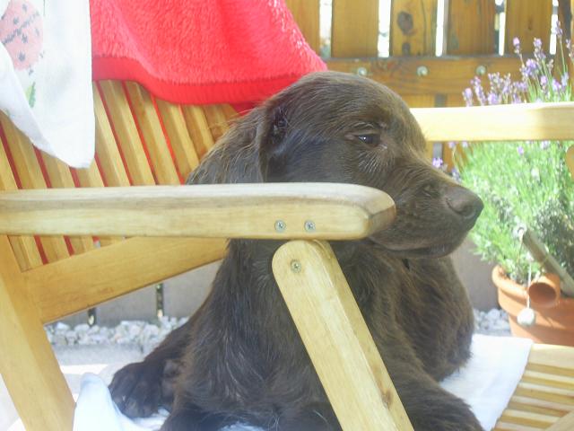PIC_0069.JPG