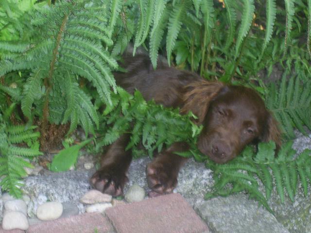 PIC_0073.JPG