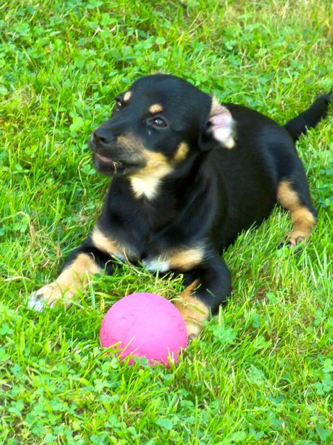 Bild 4.jpg