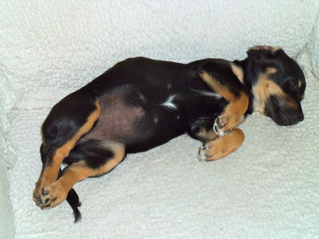 Bild 5.jpg