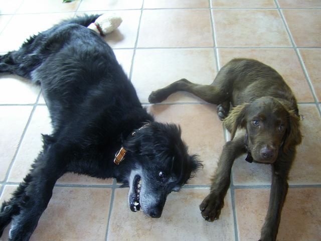 PIC_0083.JPG