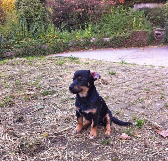 Bild 10.jpg
