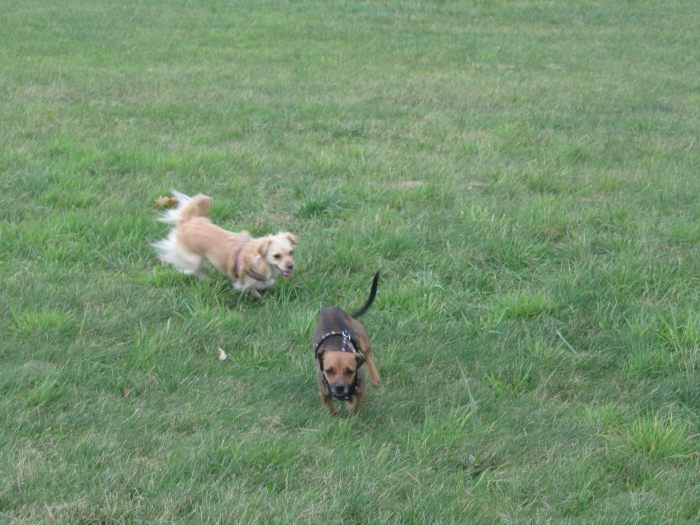 070.JPG