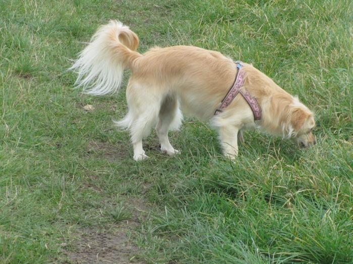 051.JPG