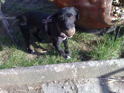 210320091095.jpg