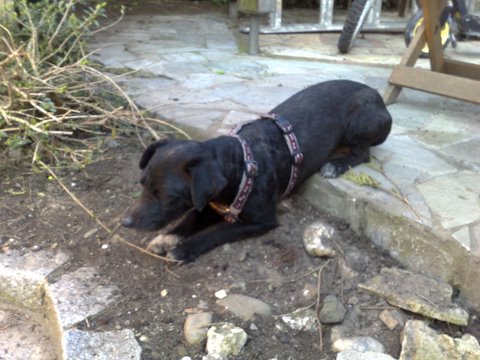 210320091101.jpg