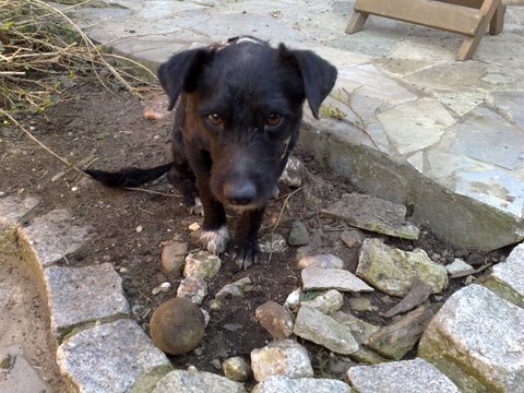 210320091104.jpg