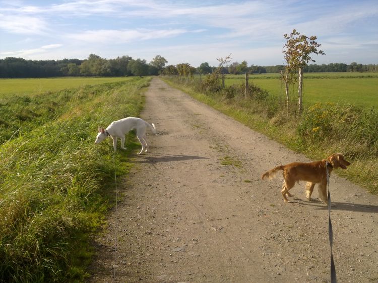 oktober_12_ 116.jpg