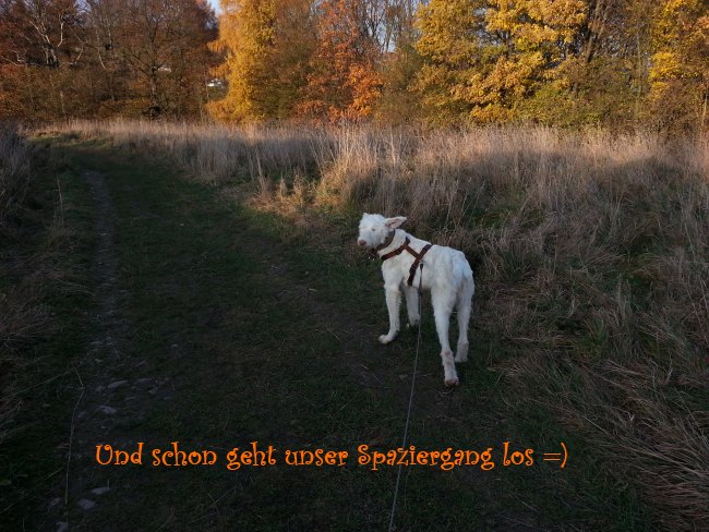 klein20121112_150351.jpg