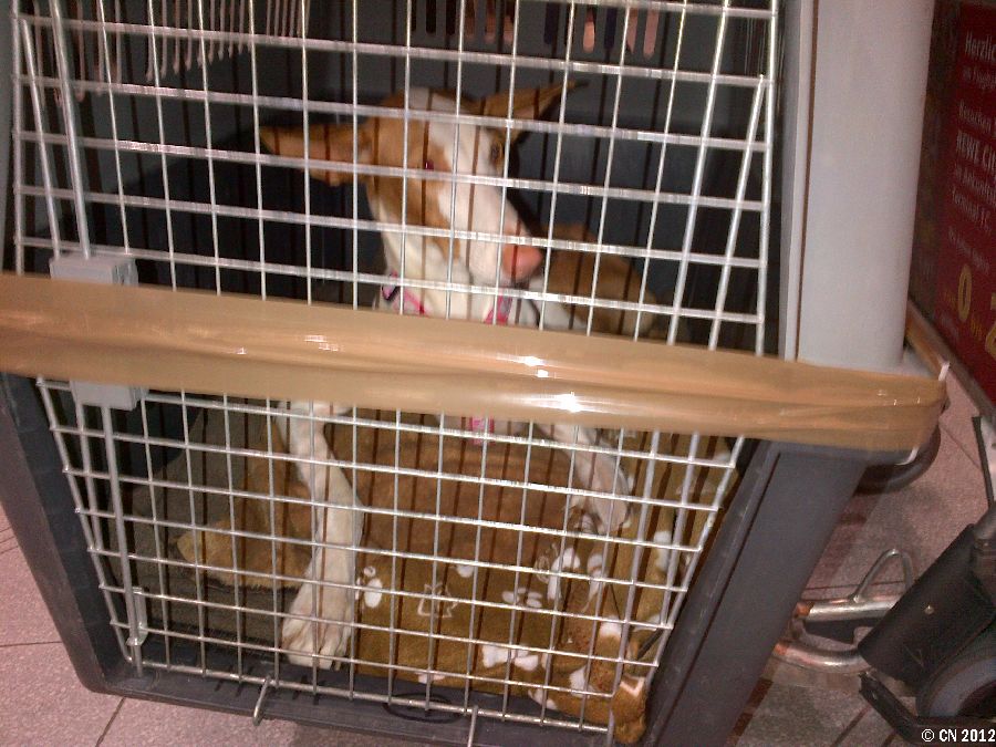 900_IMG-20121113-00656.jpg