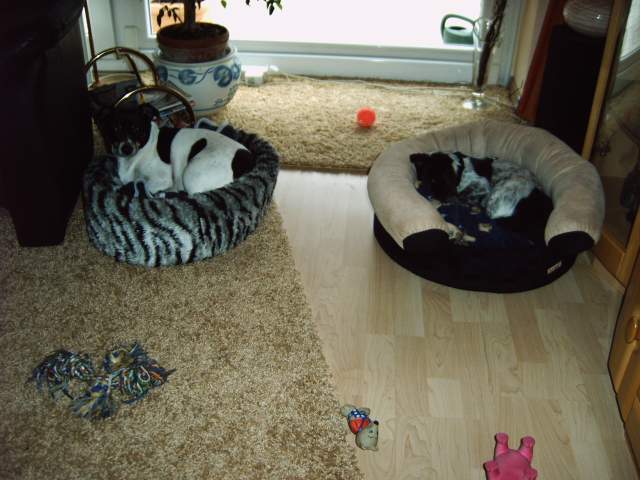 IMG00143-klein.jpg