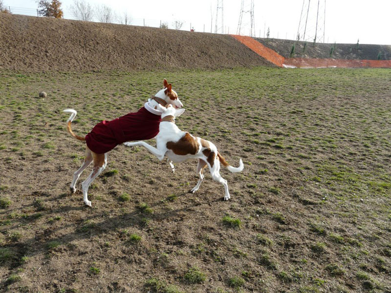AynaundZampanoMitMantel.jpg