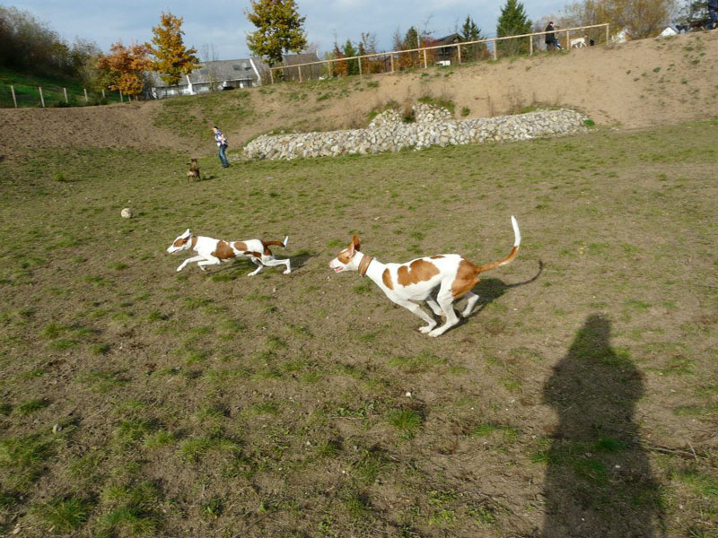 AynaZampanoBG.jpg