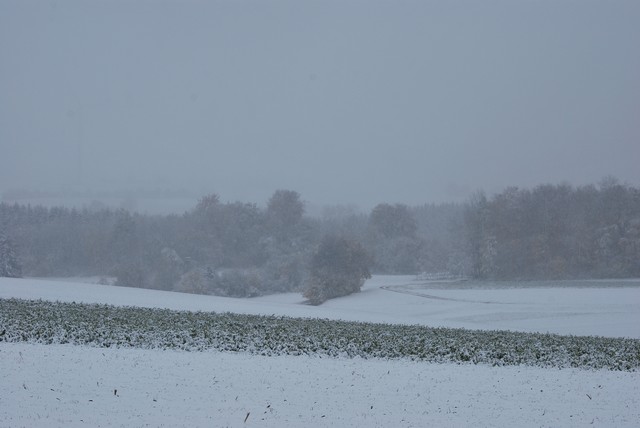 DSC_2020.JPG