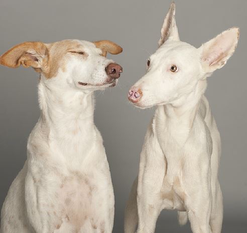 Emma und Tilda.JPG