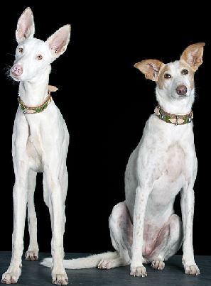 Emma und Tilda 2.JPG