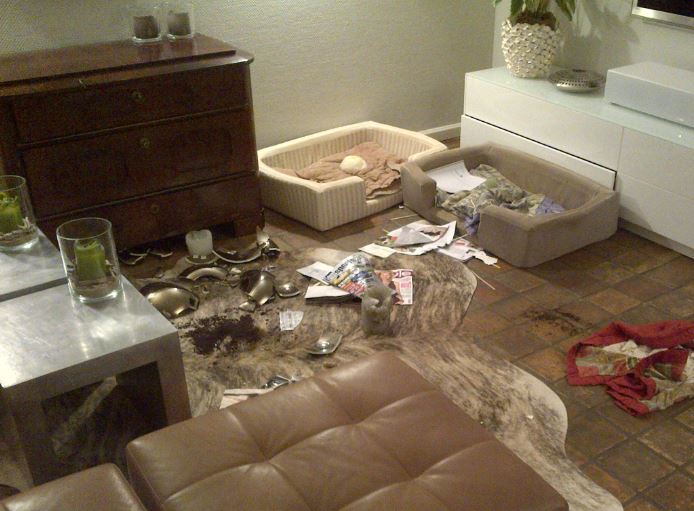 Wohnzimmer nachdem Hunde alleine waren.JPG