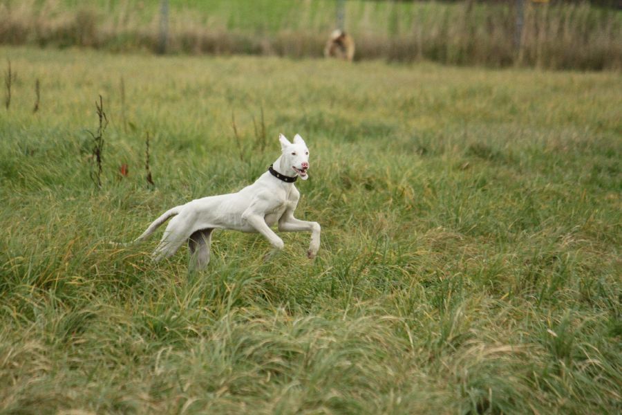 900_IMG_1849.jpg