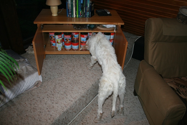 IMG_1373a.JPG