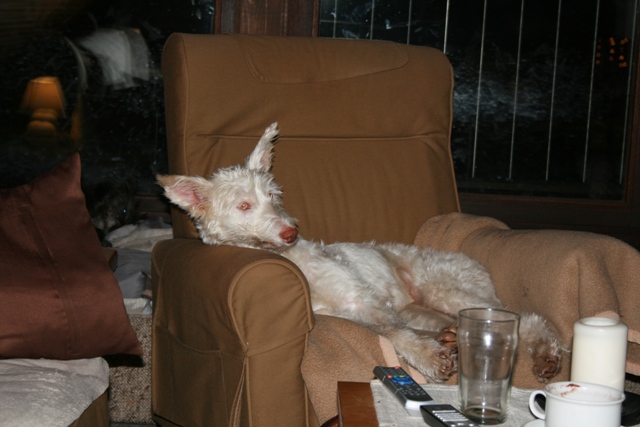 IMG_1375a.JPG